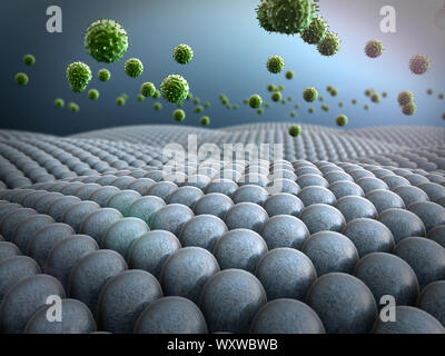 Campo di cellule, virus attaccano le cellule, azione del sistema immunitario umano Foto Stock