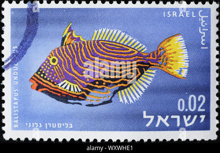 Coloratissimi pesci balestra israeliana francobollo Foto Stock