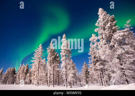 Luci del nord, Aurora Boreale in Lapponia, Finlandia Foto Stock