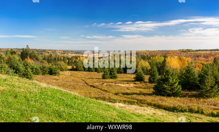 Colorato fogliame completo nelle zone rurali di Prince Edward Island, Canada. Foto Stock