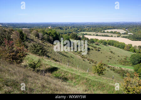 Vista su Hampshire terreni agricoli campagna dalla sommità di Beacon Hill, Burghclere, Hampshire, Inghilterra, Regno Unito, Europa Foto Stock