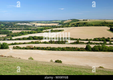 Vista su Hampshire terreni agricoli campagna dalla sommità di Beacon Hill, Burghclere, Hampshire, Inghilterra, Regno Unito, Europa Foto Stock