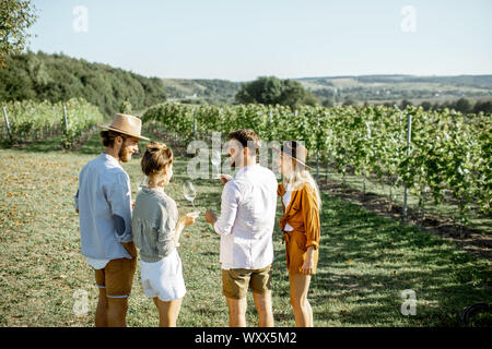 Un gruppo di giovani amici la degustazione di vino sul vigneto, godendo della splendida vista del paesaggio su una soleggiata mattina d'estate, vista dal lato posteriore Foto Stock