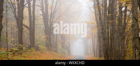 Misty strada vuota nella caduta nel Vermont, New England, STATI UNITI D'AMERICA Foto Stock