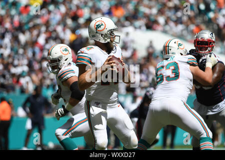 Giardini di Miami, FL, Stati Uniti d'America. Xv Sep, 2019. Ryan Fitzpatrick #14 di Miami in azione durante la NFL partita di calcio tra i delfini di Miami e il New England Patriots al Hard Rock Stadium di Miami FL. I patrioti hanno sconfitto i delfini 43-0. Credito: csm/Alamy Live News Foto Stock