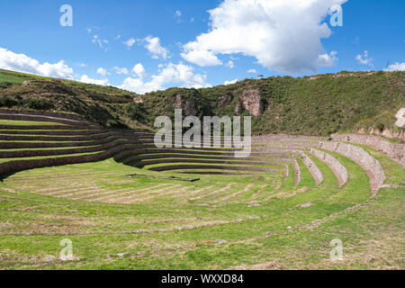 Colture di Moray si affacciano da sopra, Cusco, Perù Foto Stock