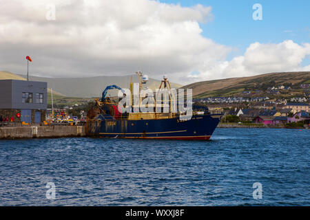 La pesca a strascico Cu na Mara in Dingle, Kerry, Irlanda Foto Stock