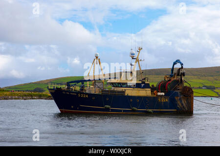 La pesca a strascico Cu na Mara in Dingle, Kerry, Irlanda Foto Stock