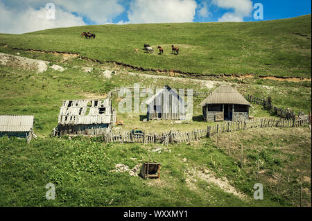 Pastorale estiva case di montagna per il pascolo del bestiame di montagna sul prato verde. Bjelasica, Montenegro Foto Stock