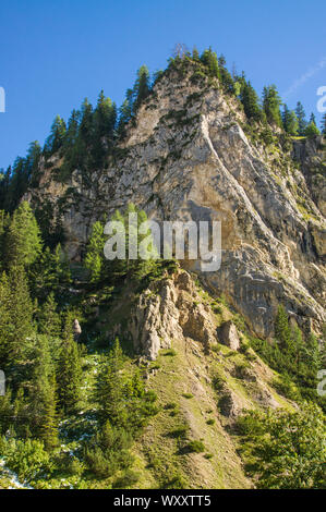 Vista lungo la valle di Hall in Tirolo. Escursione nell'estate. Foto Stock