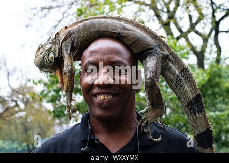 Ein Mann hat sich einen Leguan auf seinen Kopf gelegt und posiert damit vor der Kamera Foto Stock
