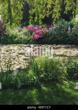 Claude Monet giardino nenuphar a Giverny (Normandia, Francia). Foto Stock