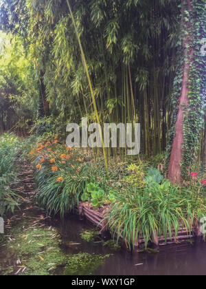 Claude Monet giardino nenuphar a Giverny (Normandia, Francia). Foto Stock