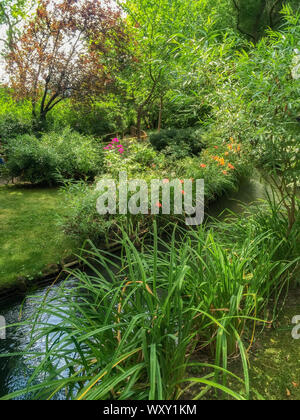 Claude Monet giardino nenuphar a Giverny (Normandia, Francia). Foto Stock