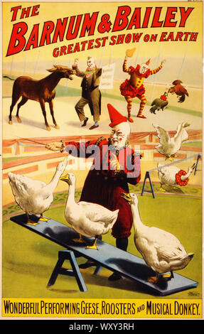 Oche Galli e Musical asino Poster per Barnum Bailey Ca 1900 - Vintage Poster pubblicitario, Era Vittoriana Foto Stock