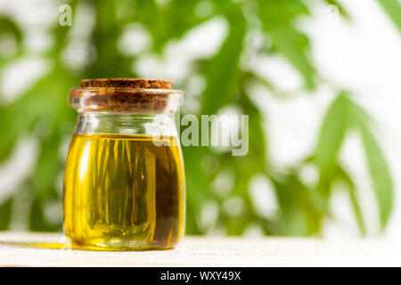 Olio di cannabis e marijuana leafs close up Foto Stock