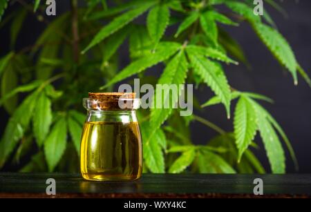 Olio di cannabis e marijuana leafs close up Foto Stock