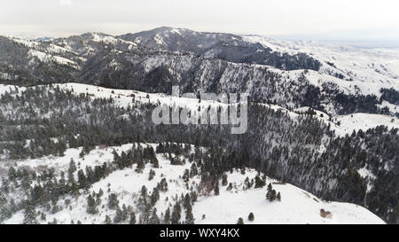 Montagne coperte di alberi e neve durante weinter Foto Stock