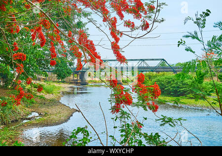 La vista sulla Tha Pai il Memoriale della Seconda Guerra Mondiale ponte sopra il fiume Pai con vegetazione lussureggiante e la fioritura dei rami di flame tree sul primo piano, Thailandia Foto Stock