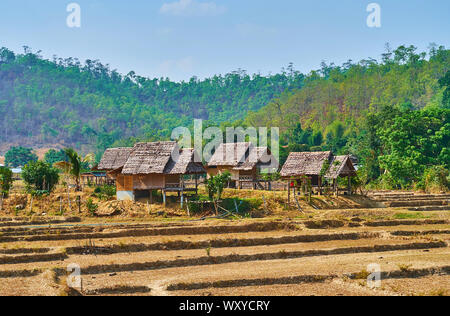 Le palafitte di bambù in vimini con palm lasciare tetti, situato tra il essiccato risaie del sobborgo di Pai, Thailandia Foto Stock