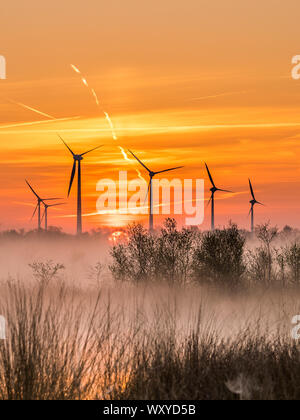 Sunrise Bargerveen nel Parco nazionale dei Paesi Bassi con sfondo windturbines, orange sky e nebbioso moor esprimendo la sostenibilità Foto Stock