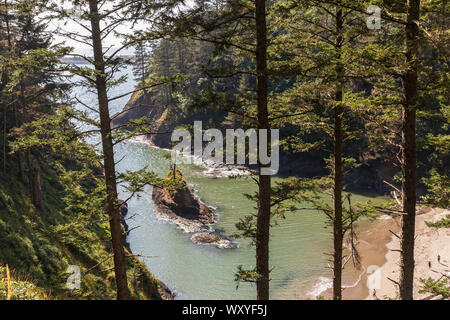 Stati Uniti d'America, nello Stato di Washington, Ilwaco, Cape delusione del parco statale. Vista della spiaggia di uomo morto's Cove. Foto Stock