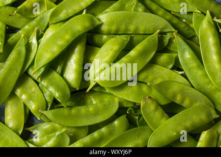 Materie organiche verde neve piselli in un heap Foto Stock