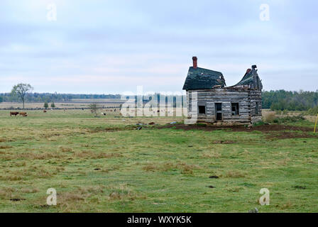 Pioneer home con tetto rotto Foto Stock