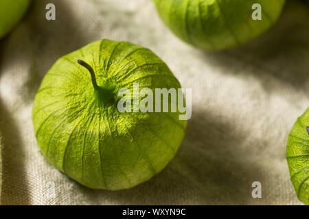 Verde biologico Tomatillos freschi in una lolla Foto Stock