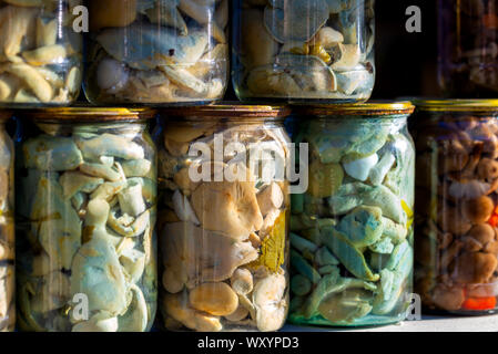 Decapare il miele funghi in vasi presso il village marketplace. Foto Stock