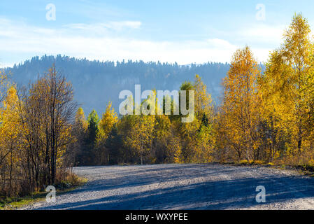 Vista panoramica di una nuova strada attraverso gli alberi d'autunno. Foto Stock