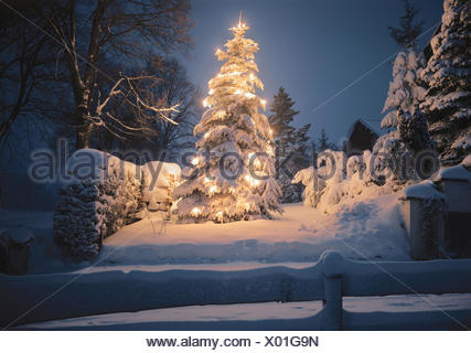 Romantico Immagini Invernali Natalizie.Albero Di Natale Illuminateds Nevoso Sera Paesaggio Invernale Natale Yule Tide Alberi Albero Luci Inverni Albero