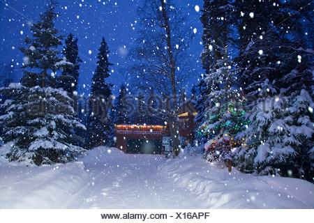 Immagini Di Natale Con La Neve.La Neve Che Cade Su Di Un Albero Di Natale Illuminato Accanto A Una Coperta Di Neve Viale Con Una Casa In Background Anchorage In Alaska Foto Stock Alamy