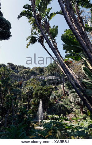 La Mortella Giardini Mediterranei Di Sir William Walton Forio Isola D Ischia Golfo Di Napoli Campania Italia Meridionale Italia Foto Stock Alamy