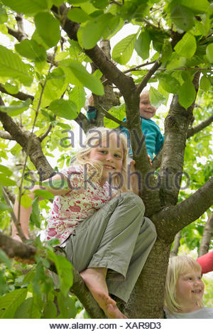 Tre piccoli bambini in giardino seduta in ciliegio Foto Stock